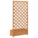 plantekasse med espalier massivt grantræ brun