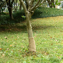 juterulle 0,25x5 m 200 gsm 100 % jute
