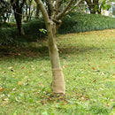 juterulle 0,25x15 m 200 gsm 100 % jute