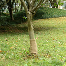 juterulle 0,25x50 m 200 gsm 100 % jute