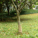 juterulle 0,25x100 m 200 gsm 100 % jute