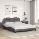 sengeramme Viana med LED uden madras 160x200 cm grå