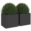 plantekasser 2 stk. 32x30x29 cm stål sort