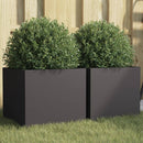 plantekasser 2 stk. 32x30x29 cm stål sort