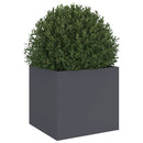 plantekasse 32x30x29 cm stål antracitgrå