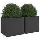 plantekasser 2 stk. 49x47x46 cm stål sort