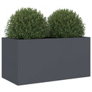 plantekasse 62x30x29 cm stål antracitgrå