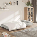2-personers sovesofa med 2 puder fløjl blå