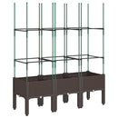 plantekasse med espalier 120x40x142,5 cm PP brun