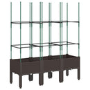 plantekasse med espalier 120x40x142,5 cm PP brun