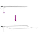 markise med LED-lys 400x300 cm manuel betjening bordeauxfarvet