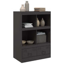 skab 67x39x95 cm stål sort