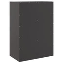 skab 67x39x95 cm stål sort