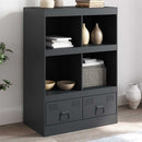 skab 67x39x95 cm stål antracitgrå