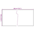 altanafskærmning 300x100 cm polyrattan sort