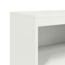 skab 68,5x38,5x123,5 cm stål hvid