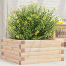 plantekasse 50x50x23 cm massivt fyrretræ