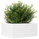 plantekasse 50x50x23 cm massivt fyrretræ hvid