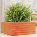 plantekasse 50x50x23 cm massivt fyrretræ gyldenbrun