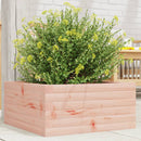 plantekasse 50x50x23 cm massivt douglasgran