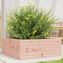 plantekasse 60x60x23 cm massivt douglasgran