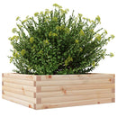 plantekasse 70x70x23 cm massivt fyrretræ