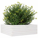 plantekasse 70x70x23 cm massivt fyrretræ hvid