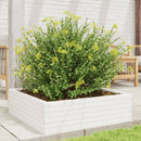 plantekasse 80x80x23 cm massivt fyrretræ hvid