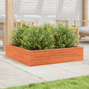 plantekasse 100x100x23 cm massivt fyrretræ gyldenbrun