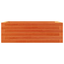 plantekasse 70x40x23 cm massivt fyrretræ gyldenbrun