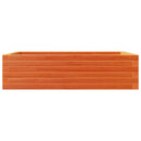 plantekasse 90x60x23 cm massivt fyrretræ gyldenbrun