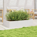 plantekasse 110x60x23 cm massivt fyrretræ hvid