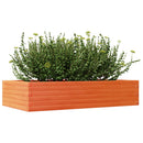 plantekasse 110x60x23 cm massivt fyrretræ gyldenbrun