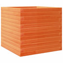 plantekasse 50x50x45,5 cm massivt fyrretræ gyldenbrun