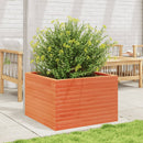 plantekasse 70x70x45,5 cm massivt fyrretræ gyldenbrun