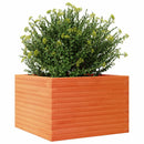 plantekasse 70x70x45,5 cm massivt fyrretræ gyldenbrun