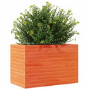 plantekasse 70x40x45,5 cm massivt fyrretræ gyldenbrun