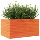 plantekasse 90x60x45,5 cm massivt fyrretræ gyldenbrun