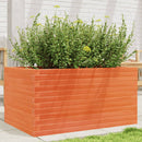 plantekasse 90x60x45,5 cm massivt fyrretræ gyldenbrun