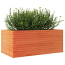 plantekasse 110x60x45,5 cm massivt fyrretræ gyldenbrun