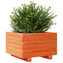 plantekasse 40x40x26,5 cm massivt fyrretræ gyldenbrun