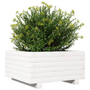 plantekasse 50x50x26,5 cm massivt fyrretræ hvid