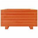 plantekasse 50x50x26,5 cm massivt fyrretræ gyldenbrun