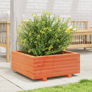 plantekasse 60x60x26,5 cm massivt fyrretræ gyldenbrun
