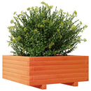 plantekasse 60x60x26,5 cm massivt fyrretræ gyldenbrun