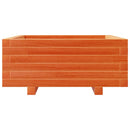 plantekasse 60x60x26,5 cm massivt fyrretræ gyldenbrun