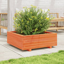plantekasse 70x70x26,5 cm massivt fyrretræ gyldenbrun
