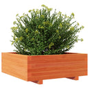 plantekasse 70x70x26,5 cm massivt fyrretræ gyldenbrun