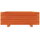 plantekasse 70x70x26,5 cm massivt fyrretræ gyldenbrun