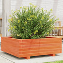 plantekasse 70x70x26,5 cm massivt fyrretræ gyldenbrun